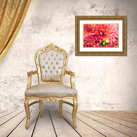 Pink Dalhia III Gold Ornate Wood Framed Art Print with Double Matting by Love, Maureen