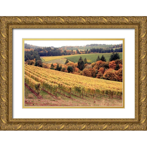 Fall in Wine Country I Gold Ornate Wood Framed Art Print with Double Matting by Love, Maureen