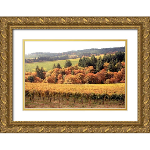 Fall in Wine Country I Gold Ornate Wood Framed Art Print with Double Matting by Love, Maureen