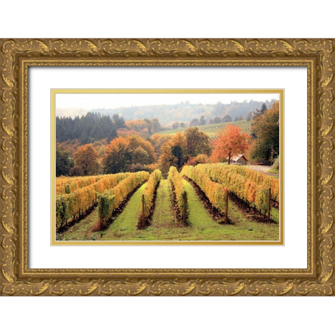 Bella Vida I Gold Ornate Wood Framed Art Print with Double Matting by Love, Maureen