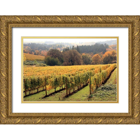 Bella Vida II Gold Ornate Wood Framed Art Print with Double Matting by Love, Maureen