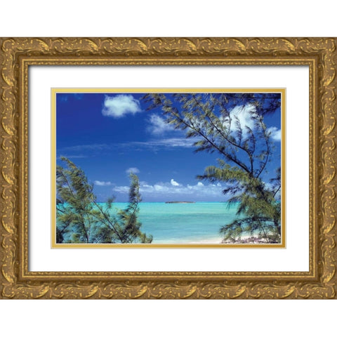 Pelican Cay Gold Ornate Wood Framed Art Print with Double Matting by Malvin, Larry