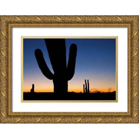 Clear Saguaro Sunset I Gold Ornate Wood Framed Art Print with Double Matting by Malvin, Larry