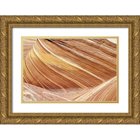 Wave Closeup Gold Ornate Wood Framed Art Print with Double Matting by Malvin, Larry