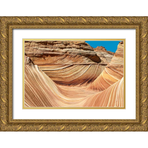 Wave Walls Gold Ornate Wood Framed Art Print with Double Matting by Malvin, Larry