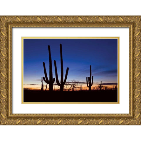Classic Saguaro Sunset II Gold Ornate Wood Framed Art Print with Double Matting by Malvin, Larry
