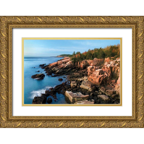Acadia Coastline Gold Ornate Wood Framed Art Print with Double Matting by Malvin, Larry
