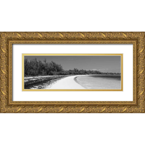Winding Bay II BW Panel Gold Ornate Wood Framed Art Print with Double Matting by Malvin, Larry