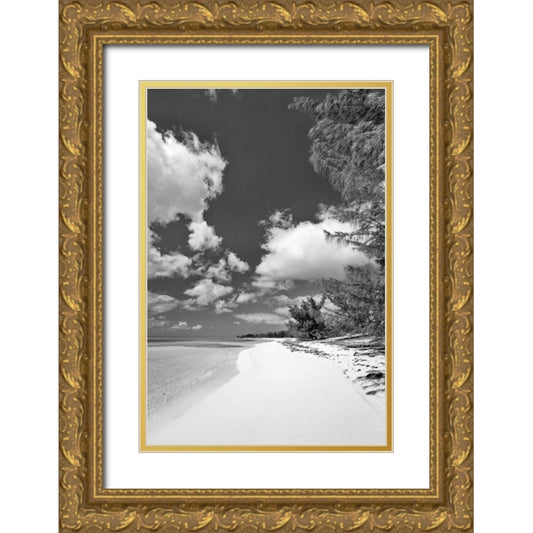 Perspective Image