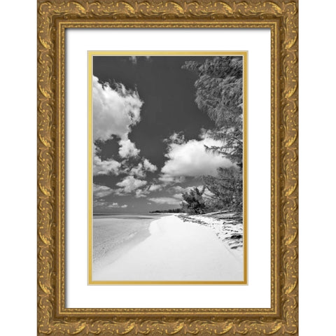 Deep Creek Tree BW Gold Ornate Wood Framed Art Print with Double Matting by Malvin, Larry