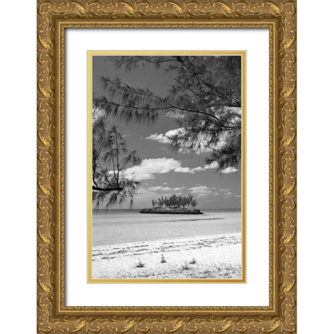 Gaulding Cay Island BW Gold Ornate Wood Framed Art Print with Double Matting by Malvin, Larry