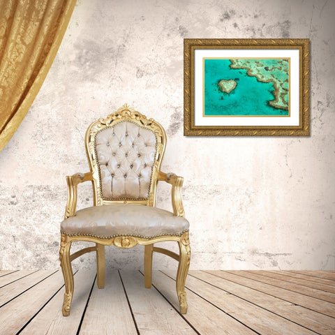 Great Barrier Reef II Gold Ornate Wood Framed Art Print with Double Matting by Malvin, Larry