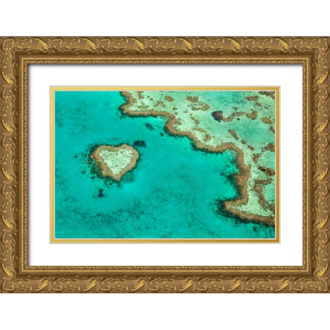 Great Barrier Reef II Gold Ornate Wood Framed Art Print with Double Matting by Malvin, Larry