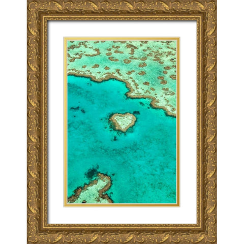 Heart Reef I Gold Ornate Wood Framed Art Print with Double Matting by Malvin, Larry