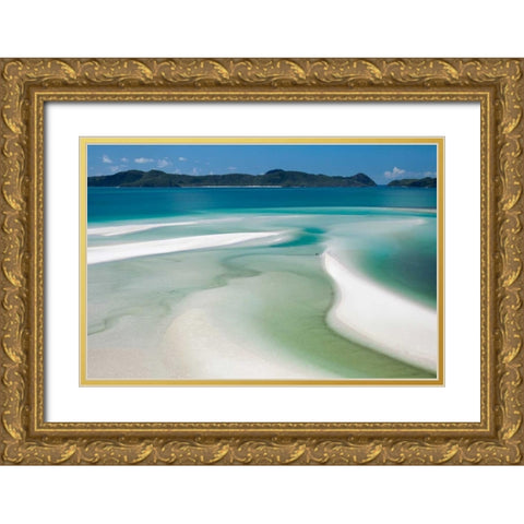 Sand Swirl Gold Ornate Wood Framed Art Print with Double Matting by Malvin, Larry