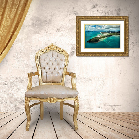 Whitsunday Island II Gold Ornate Wood Framed Art Print with Double Matting by Malvin, Larry
