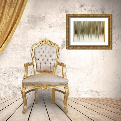 Birch Blur II Gold Ornate Wood Framed Art Print with Double Matting by Malvin, Larry