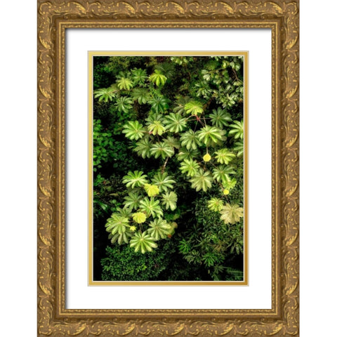 Cloud Forest Foliage II Gold Ornate Wood Framed Art Print with Double Matting by Malvin, Larry