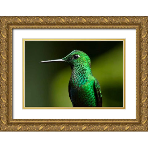 Steely Vented Gold Ornate Wood Framed Art Print with Double Matting by Malvin, Larry