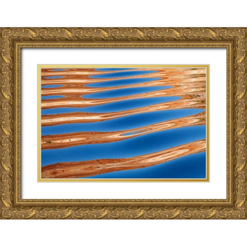 Lake Powell II Gold Ornate Wood Framed Art Print with Double Matting by Mahan, Kathy