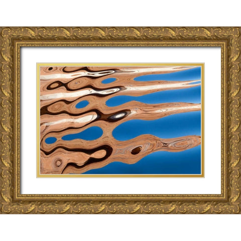 Lake Powell V Gold Ornate Wood Framed Art Print with Double Matting by Mahan, Kathy