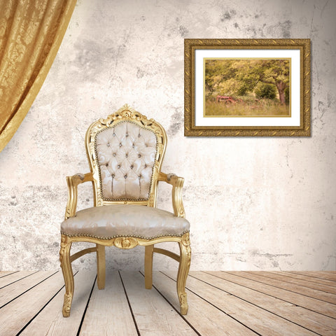 Old Tractor I Gold Ornate Wood Framed Art Print with Double Matting by Mahan, Kathy