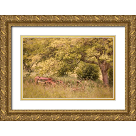 Old Tractor I Gold Ornate Wood Framed Art Print with Double Matting by Mahan, Kathy