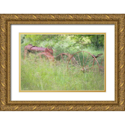 Old Tractor II Gold Ornate Wood Framed Art Print with Double Matting by Mahan, Kathy