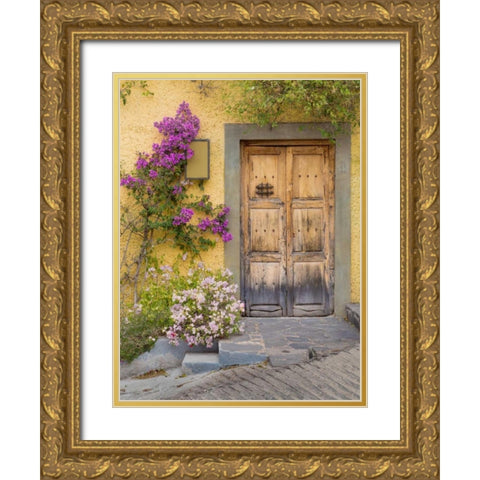 Doorway in Mexico I Gold Ornate Wood Framed Art Print with Double Matting by Mahan, Kathy