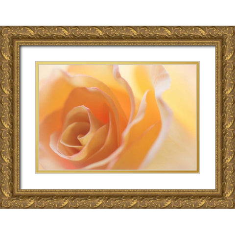 Yellow Roses II Gold Ornate Wood Framed Art Print with Double Matting by Mahan, Kathy