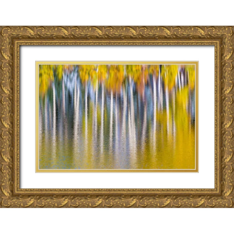 Reflections of Fall II Gold Ornate Wood Framed Art Print with Double Matting by Mahan, Kathy