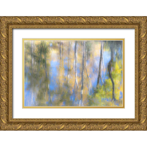 Tree Reflections I Gold Ornate Wood Framed Art Print with Double Matting by Mahan, Kathy