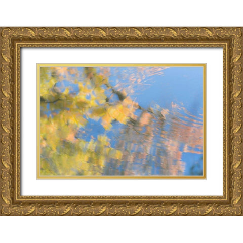 Tree Reflections II Gold Ornate Wood Framed Art Print with Double Matting by Mahan, Kathy