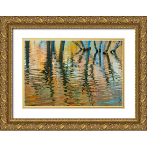 Lake Powell Reflections I Gold Ornate Wood Framed Art Print with Double Matting by Mahan, Kathy