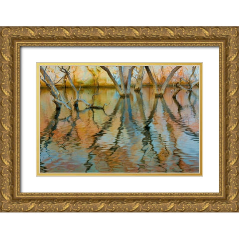 Lake Powell Reflections II Gold Ornate Wood Framed Art Print with Double Matting by Mahan, Kathy
