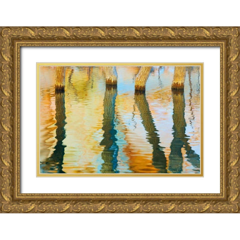 Lake Powell Reflections III Gold Ornate Wood Framed Art Print with Double Matting by Mahan, Kathy