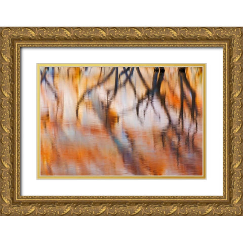 Lake Powell Reflections IV Gold Ornate Wood Framed Art Print with Double Matting by Mahan, Kathy