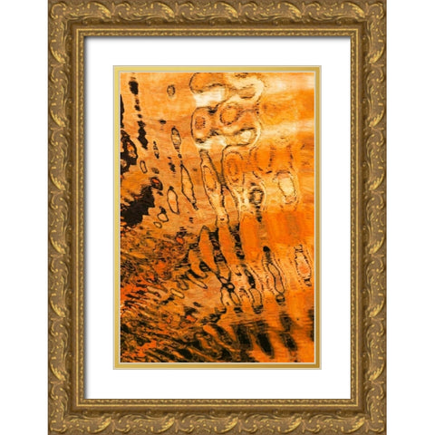 Golden Reflection I Gold Ornate Wood Framed Art Print with Double Matting by Mahan, Kathy