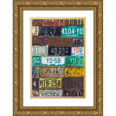 License Plates I Gold Ornate Wood Framed Art Print with Double Matting by Mahan, Kathy