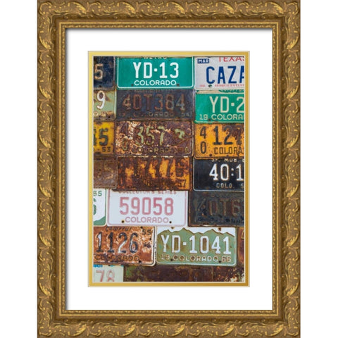License Plates II Gold Ornate Wood Framed Art Print with Double Matting by Mahan, Kathy