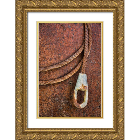 Rusty Metal I Gold Ornate Wood Framed Art Print with Double Matting by Mahan, Kathy
