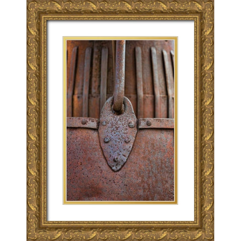 Rusty Metal II Gold Ornate Wood Framed Art Print with Double Matting by Mahan, Kathy