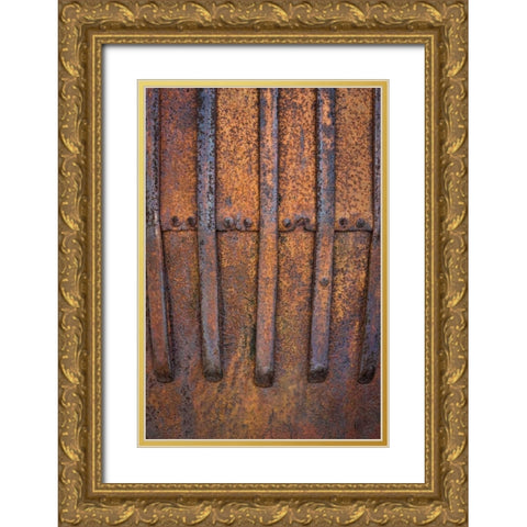 Rusty Metal V Gold Ornate Wood Framed Art Print with Double Matting by Mahan, Kathy