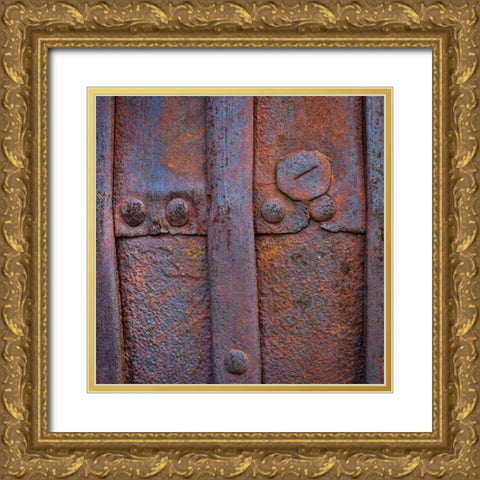 Rusted in Time II Gold Ornate Wood Framed Art Print with Double Matting by Mahan, Kathy