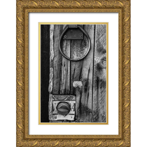 Ridgeway Door I Gold Ornate Wood Framed Art Print with Double Matting by Mahan, Kathy