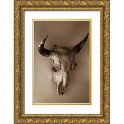 Steer Skull Gold Ornate Wood Framed Art Print with Double Matting by Mahan, Kathy