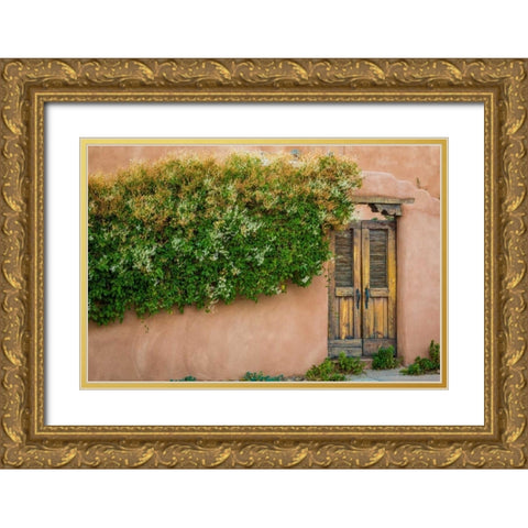 Gate II Gold Ornate Wood Framed Art Print with Double Matting by Mahan, Kathy