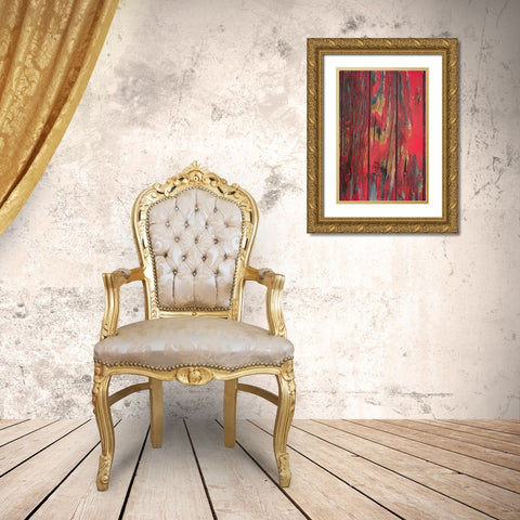 Old Paint I Gold Ornate Wood Framed Art Print with Double Matting by Mahan, Kathy