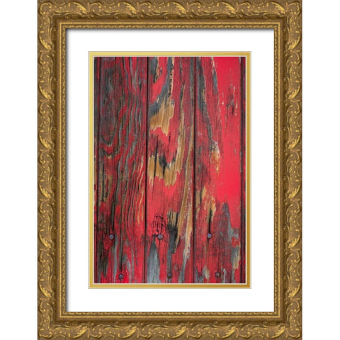 Old Paint I Gold Ornate Wood Framed Art Print with Double Matting by Mahan, Kathy