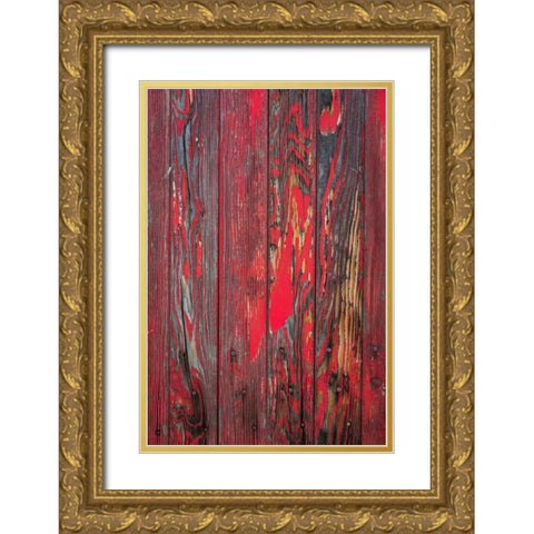 Old Paint II Gold Ornate Wood Framed Art Print with Double Matting by Mahan, Kathy
